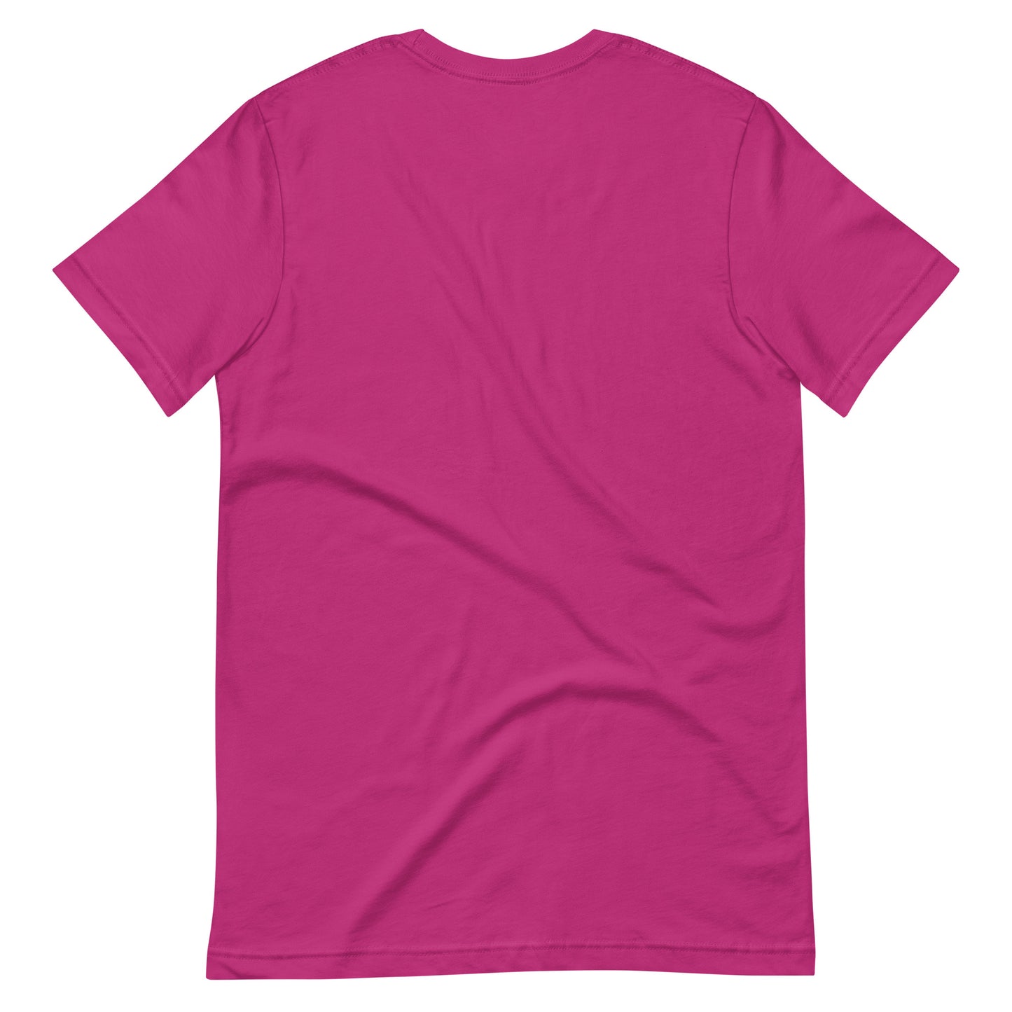 Rube Goldberg Official 2025 Machine Contest Tee